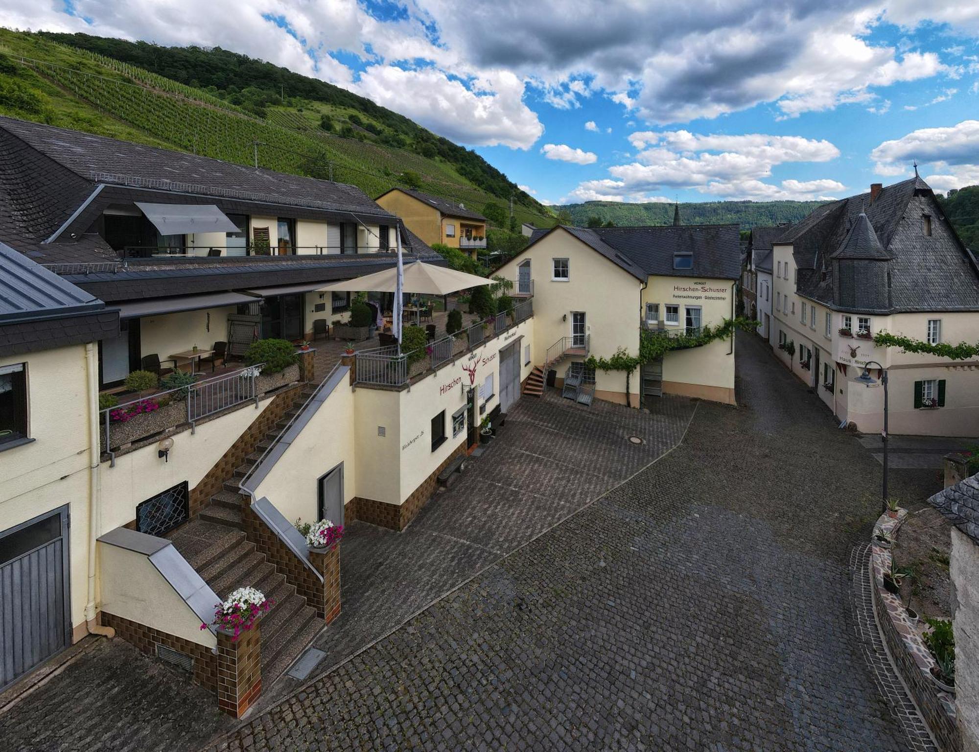 Hirschen-Schuster Apartment Mesenich Bagian luar foto